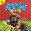 Image for Labrador Retriever Puppies