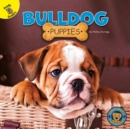 Image for Bulldog Puppies