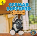 Image for German Shepherd Puppies