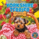 Image for Yorkshire Terrier Puppies