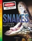Image for Snakes and Other Reptiles