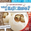 Image for What Is Hatching?