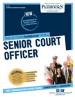 Image for Senior Court Officer