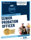 Image for Senior Probation Officer