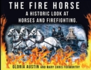 Image for The Fire Horse