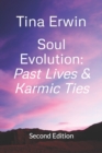 Image for Soul Evolution