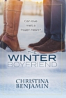 Image for The Winter Boyfriend