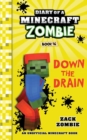 Image for Diary of a Minecraft Zombie Book 16 : Down The Drain