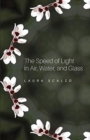 Image for The Speed of Light in Air, Water, and Glass