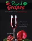 Image for Beyond Grapes : How to Make Wine Out of Anything But Grapes