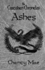 Image for The Custodian Chronicles Ashes
