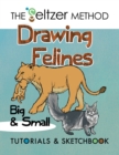 Image for Drawing Felines : Big and Small