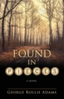 Image for Found in Pieces
