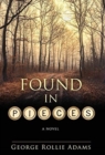 Image for Found in Pieces