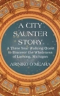 Image for A City Saunter Story