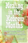 Image for Healing in the Hebrew Months : Prophetic Strategies in the Tribes, Constellations, Gates, and Gems