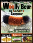 Image for Woolly Bear the Banded Caterpillar : Life Cycle, Friends and Adventures
