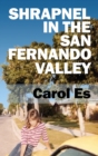 Image for Shrapnel in the San Fernando Valley