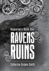 Image for Ravens Ruins