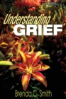 Image for Understanding Grief