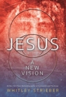 Image for Jesus : A New Vision