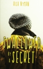 Image for Swallowed by a Secret