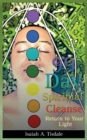 Image for 99 Day Spiritual Cleanse : Return to Your Light