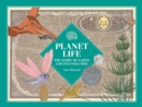 Image for Planet Life : The Amazing History of Earth
