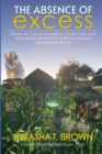 Image for The Absence of Excess : Stories on Cultural Immersion, Godly Love, and Living Surrendered from a Black American Missionary in Africa