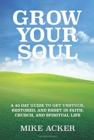 Image for Grow Your Soul : A 40-day guide to get unstuck, restored, and reset in faith, church, and spirit