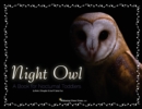 Image for Night Owl : A Book for Nocturnal Toddlers