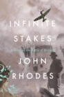 Image for Infinite Stakes : A Novel of the Battle of Britain
