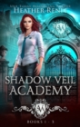 Image for Shadow Veil Academy