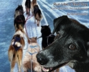 Image for Run Like a Sled Dog : Another Black Bear Sled Dog Adventure