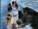 Image for Run Like a Sled Dog : Another Black Bear Sled Dog Adventure