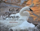 Image for Gift of the Swan