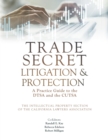 Image for Trade Secret Litigation and Protection : A Practice Guide to the DTSA and the CUTSA