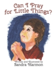Image for Can I Pray for Little Things?