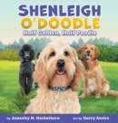 Image for Shenleigh O&#39;Doodle, Half Golden, Half Poodle