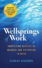 Image for Wellsprings of Work : Surprising Sources of Meaning and Motivation in Work