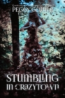 Image for Stumbling in Crazytown