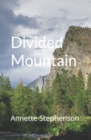 Image for Divided Mountain
