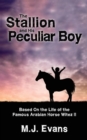 Image for The Stallion and His Peculiar Boy