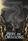 Image for Here Be Dragons
