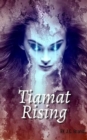 Image for Tiamat Rising