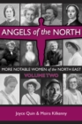 Image for Angels of the North - Vol 2