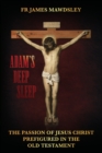 Image for Adam&#39;s Deep Sleep