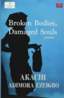 Image for Broken bodies, damaged souls