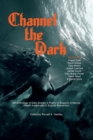 Image for Channel The Dark