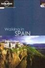 Image for Walking in Spain